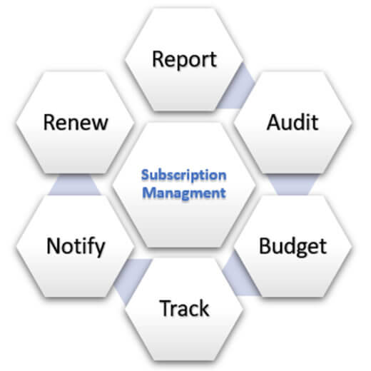 How to set a budget & manage subscriptions